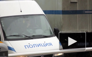 Женщина прониклась отвращением к Газу и восемь раз "минировала" Дворец культуры