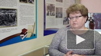 Видео: Высоцкую школу не закроют
