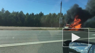 ДТП в Петербурге за последние сутки, 15 августа: фото и видео