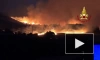 В Италии пять человек погибли при лесных пожарах