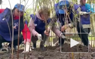 В Александровском саду появилась "Аллея поколений"