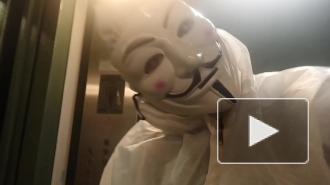 Анонимы из Петербурга покрасили лифт в доме на Оптиков в обход УК