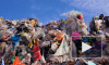 В Приморье только 8% мусора идёт на переработку