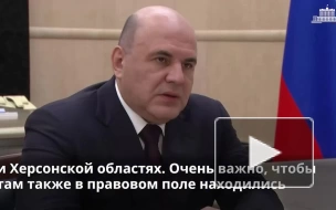 Мишустин заявил, что МСП Донбасса должны получать всю поддержку, которая есть в регионах