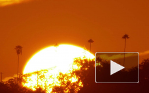 Земля и Солнце сблизились на максимальное расстояние