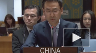 Постпредство КНР в ООН: ряд стран хотят скрыть данные о диверсии на «Северных потоках»