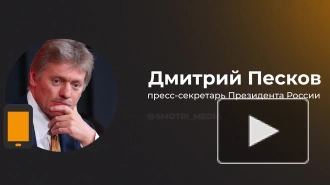 Песков сообщил, что прием вопросов Путину от граждан начнется 1 декабря