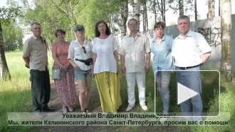 Защитники Муринского парка записали видеообращение к президенту