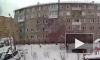 Мужчину, который выбросил из окна собачку в Красноярске, приговорили к исправительным работам