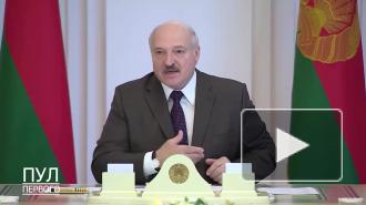 Лукашенко пообещал не допустить фашизм "под знаменами демократии"