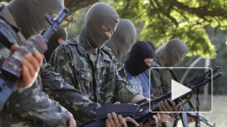 Новости Украины: батальон националистов "Азов" станет полком спецназа ВСУ