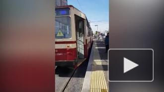 На проспект Энгельса возвращаются трамваи после дорожных работ