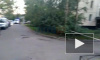 Полиция задержала стрелка, устроившего пальбу на Костюшко