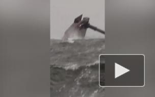 У берегов Луизианы перевернулось самоподъемное судно