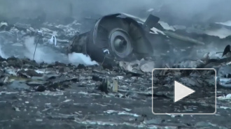 В Нидерландах возобновились слушания по делу о крушении MH17