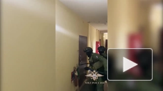 Работник органов опеки усыновил двух братьев для съемок детского порно в Петербурге