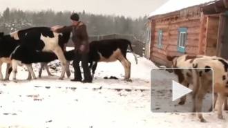 Госдума сократила рабочий день для части россиянок