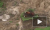 Видео после страшного землетрясения: коровы выжили, но застряли на "острове" 