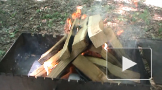 В Минздраве рассказали, как правильно готовить шашлык