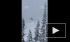 Аварийная посадка Ми-8 в Кузбассе попала на видео