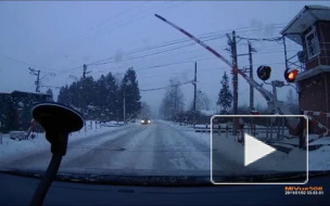 Опасная ошибка: под Петербургом железнодорожный переезд открылся раньше времени