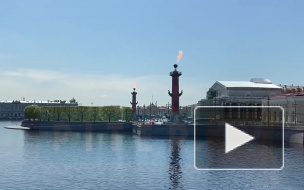 Ростральные колонны зажгли в честь 317-летия Петербурга