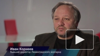 Тайны ленинградского зоопарка: после смерти животные становятся экспонатами музея