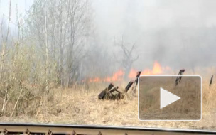 В Металлострое мужчина сгорел в огненной ловушке