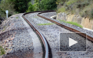 Самостоятельный подросток из Москвы попался полиции, пытаясь уехать из Петербурга в Адлер