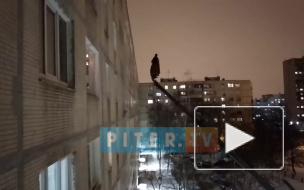 Романтик из Купчино на автокране подарил петербурженке цветы