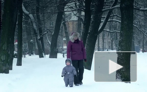 В Петербурге введут денежное поощрение за рождение первенца