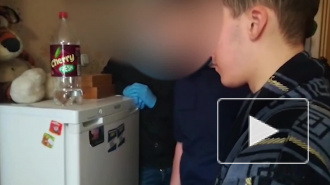 СК установил ещё двух подозреваемых в публикации фото нацистов