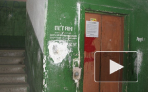 В Петербурге лифт-убийца сошел с ума и умертвил ребенка