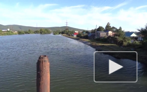 В Ленинградской области тонули двое детей: девочку удалось спасти, мальчика — нет