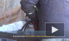 Видео: в Выборге прошли работы по утилизации пассажирского теплохода "Короленко"