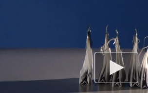 Ученые нашли в чайных пакетиках частицы пластика