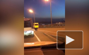 Видео: во Владивостоке несколько человек прикинулись автобусом, чтобы перейти Золотой мост