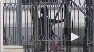 В Мьянме военные захватили власть и объявили чрезвычайное положение на год