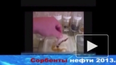 Сорбенты нефти 2013.