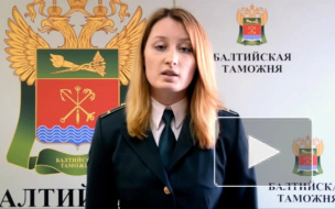 В Петербурге под видом дерева пытались провезти охотничье снаряжение, ущерб 7 млн рублей