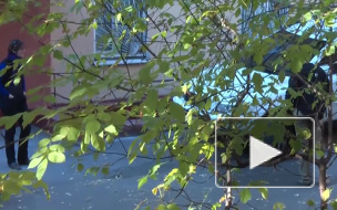 Дерзкая кража в квартире звезды сериала "Счасливы вместе": Дашу Букину оставили без копейки?