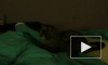 наш кот жжёт - YouTube