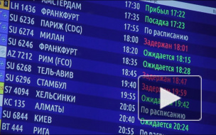 В "Пулково" самолеты не могут приземлиться из-за сильного снегопада 