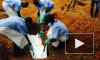 В Сьерра-Леоне сотрудник Всемирной организации здравоохранения заболел лихорадкой Эбола