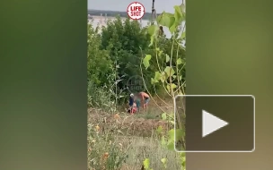 Волгоградская полиция проводит проверку из-за избиения ребенка