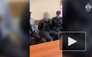 В Петербурге подозреваемый в расчленении жены топором признал вину