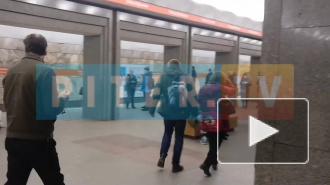 На станции "Улица Дыбенко" лежал мертвый человек (видео) 