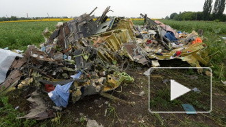 Новости Украины: голландцы не могут вывезти обломки с места падения Боинг 777