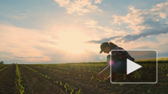 В Союзе садоводов разъяснили, введут ли в России "налог на огород"