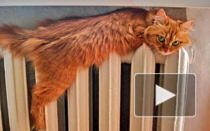 Половина петербуржцев рискуют остаться без отопления с приходом холодов